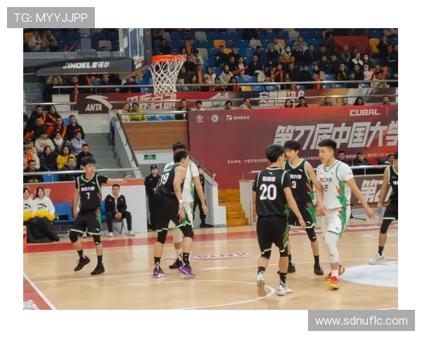 篮球的魅力与挑战探索：从基础技巧到职业联赛的全方位解析