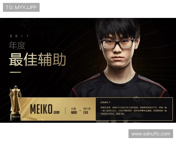 Meiko辅助玩法全解析:提升队友输出与控制技巧详解